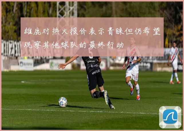 雄鹿对热火报价表示青睐但仍希望观察其他球队的最终行动